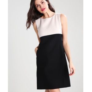 MaxMara Size 4 Virgin Wool Black & White Dress